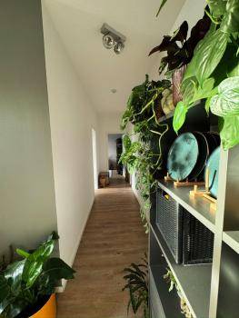 Gemütliche Schlafcouch im hellen Wohnzimmer zum Kurzaufenthalt, Kolín nad Rýnem (fotografie 3)