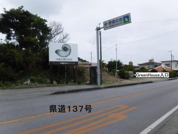 グリーンハウス, Nanjo (fotografie 4)