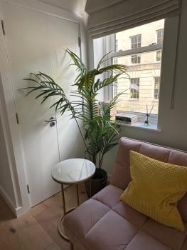 Contemporary Pied à Terre in the Heart of Bath, Bath (fotografie 5)