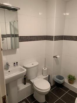 Luxury City Centre Dublin 1 Apartment, Dublin (fotografie 2)