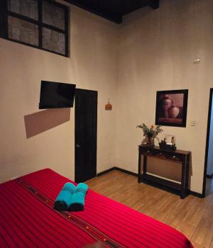 Casa Son Antigua, Antigua Guatemala (Foto 5)