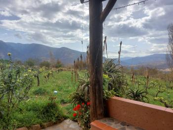 Cortijo El Cerrillo, Granada (foto 4)