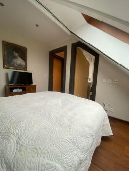 Bel appartement au cœur des Eaux-Vives, Genève (photo 3)