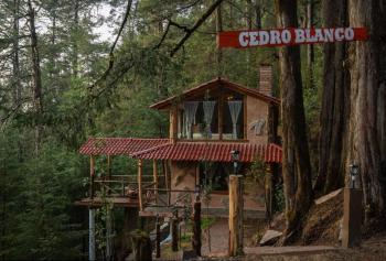 Cedro B, Pachuca de Soto (foto 2)