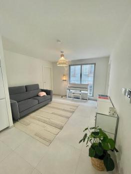 Logement neuf entier Petite France, Strasbourg (photo 5)