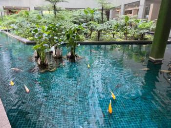 Infinity Skypool Ladies Hostel - Ladies only, Куала-Лумпур (фото 2)