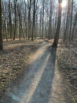 Privatzimmer am VW Werk, Hannover (photo 5)