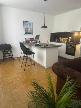 Magnificent apartment, Geneva Center, Geneva Lake, Genewa (zdjęcie 3)
