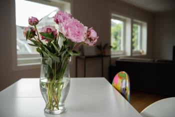 Spacious apt, Big roof terrace, Free parking, Stavanger (fotografie 5)