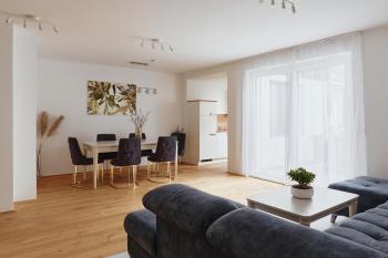 Symphony Apartments Vienna - Garden, Terrace and Grill, Viena (foto 3)