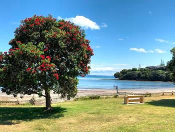 Tindalls Hideaway - 200 steps to beach, Auckland (fotografie 3)