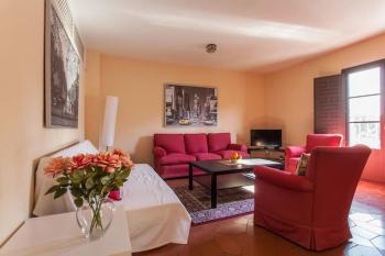 Apartamentos RG Conde de Ibarra con GARAJE, Sevilla (Foto 3)