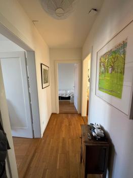 Sunny appartement near Downtown, Basilea (foto 2)