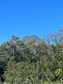 Arenal Harmony-Acogedor Apartamento-La Fortuna, Fortuna (photo 4)