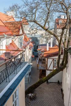 Three Crowns Residents, Tallinn (foto 5)