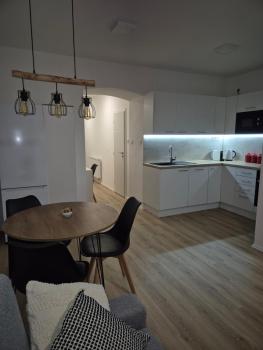 Friendly Apartment, Plzeň (photo 3)