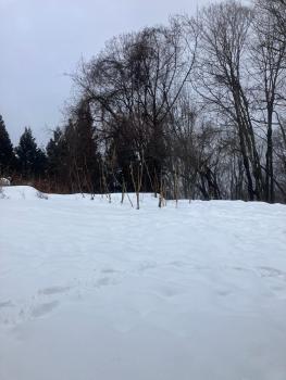 フォレスト247, Nagano (Foto 3)