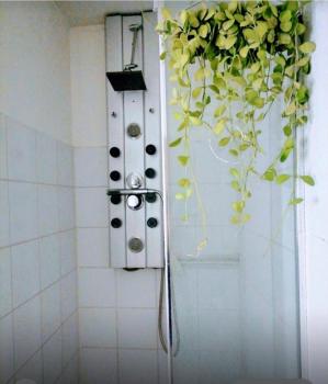 Appartement en attique Strasbourg ville proche gare Halles, Štrasburk (fotografie 4)