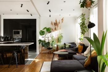 EverGreen - Design & Spacious Old Town Apartment with AC, 1,5 Bath, Family-Friendly, Bratislava (fotografie 2)