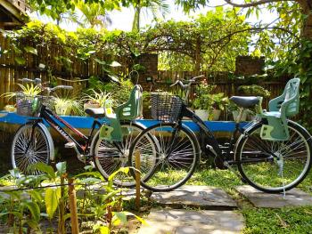 An Bang Garden House, Hoi An (photo 4)
