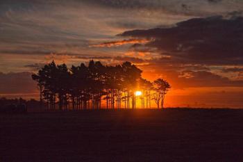 Sunset Accomadation, Westport (zdjęcie 2)
