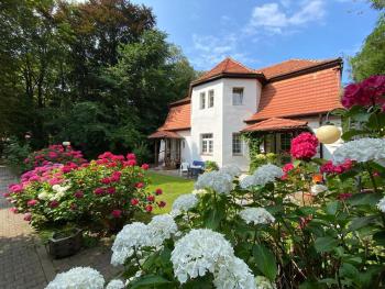 pokoje Jastrzębia Góra Rozewska 7 Willa