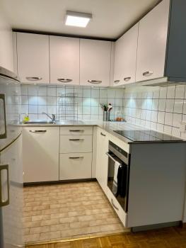 Central 2 bedroom flat in heart of Eaux-vives, Ginebra (foto 3)