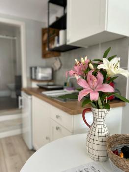 Studio Polvo, Parede (fotografie 4)
