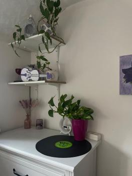 Room near fair, Zimmer neben der Messe, Frankfurt/Main (photo 3)