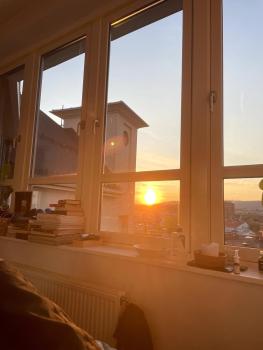 The Nest - feels like home - quiet and bright, Oslo (photo 3)