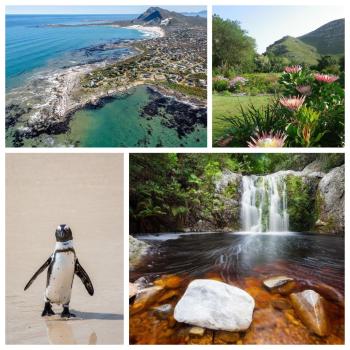 Silverdunes - Seaview, Bettyʼs Bay (zdjęcie 2)