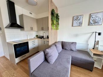 THE BASILEJ APARTMENT Private Garden & Parking, Прага (фото 5)