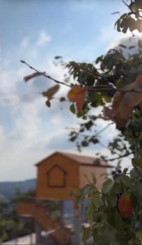 Alsaba Huts, Ajloun (fotografie 3)