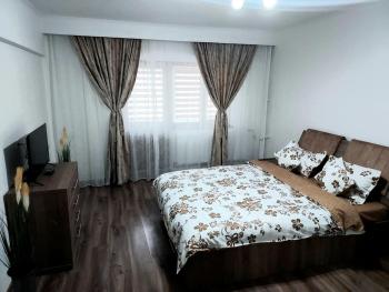 Studio Ștefan, Călimăneşti (zdjęcie 5)
