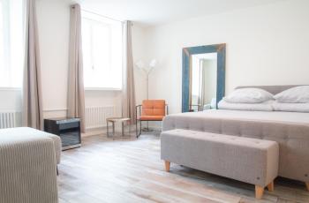 Rheinstream Guesthouse Basel, Basilej (fotografie 5)