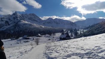 Villa jumper domek, Zakopane (photo 4)
