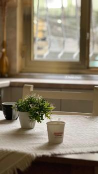 Alle's M Shyri studio apartment, Tirana (photo 2)