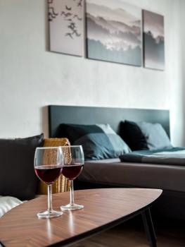 ADM Historic Center Apartment - PARKING, Netflix, Bratislava (fotografie 2)