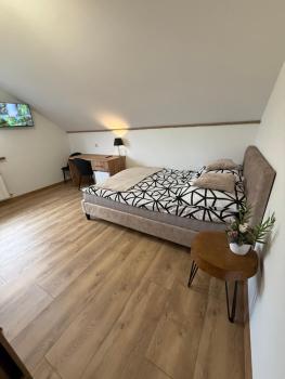 Apartament z tarasem i pokoje KLIMATYZOWANE -Drozdówka Solina, Solina (fotografie 3)
