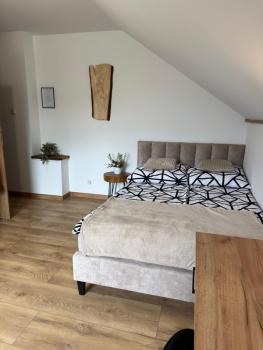 Apartament z tarasem i pokoje KLIMATYZOWANE -Drozdówka Solina, Solina (fotografie 2)