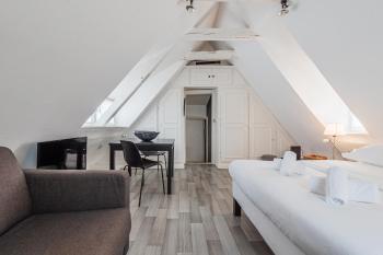 Le Cosy Stras - Studio hyper centre, Strasbourg (photo 4)