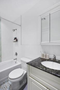Luxury Oasis in Manhattan, New York (Foto 2)