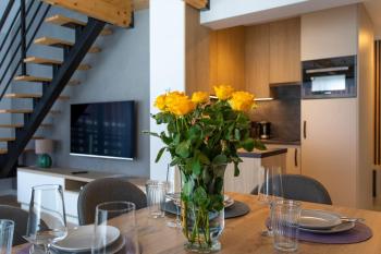 Apart-Invest Apartament 20 Obrońców Pokoju, Sklářská Poruba (fotografie 5)