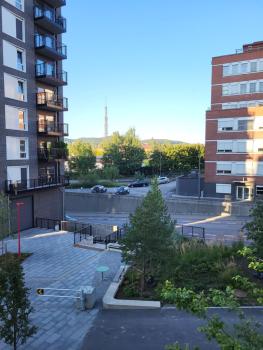 Oslo Golden Choice, Oslo (foto 5)