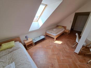 Modrá Hortenzie, Archlebov (foto 3)