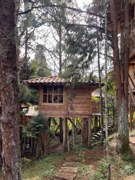 Eco Hotel Nigüíto, Medellín (photo 5)