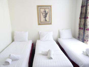 Hotel Park Plantage, Amsterdam (photo 3)