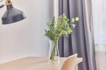 Ida, the suburban apartment nearby Cologne, Bergheim (Foto 4)