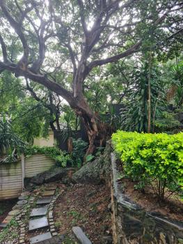 The Fig Tree, Nelspruit (foto 2)