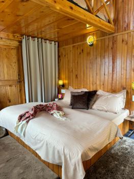 Duplex Chalet, Jibhi (photo 5)